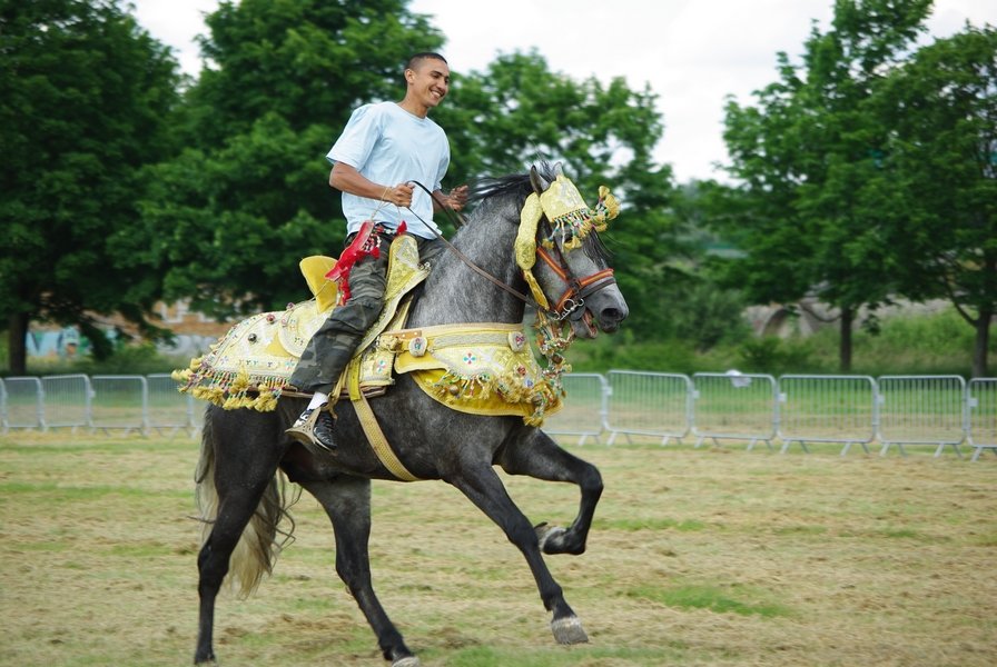 Le Moussem des Cultures 2008 068.jpg